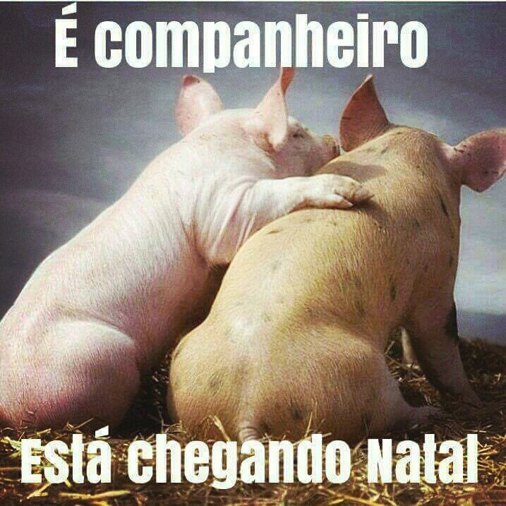 Feliz Natal 