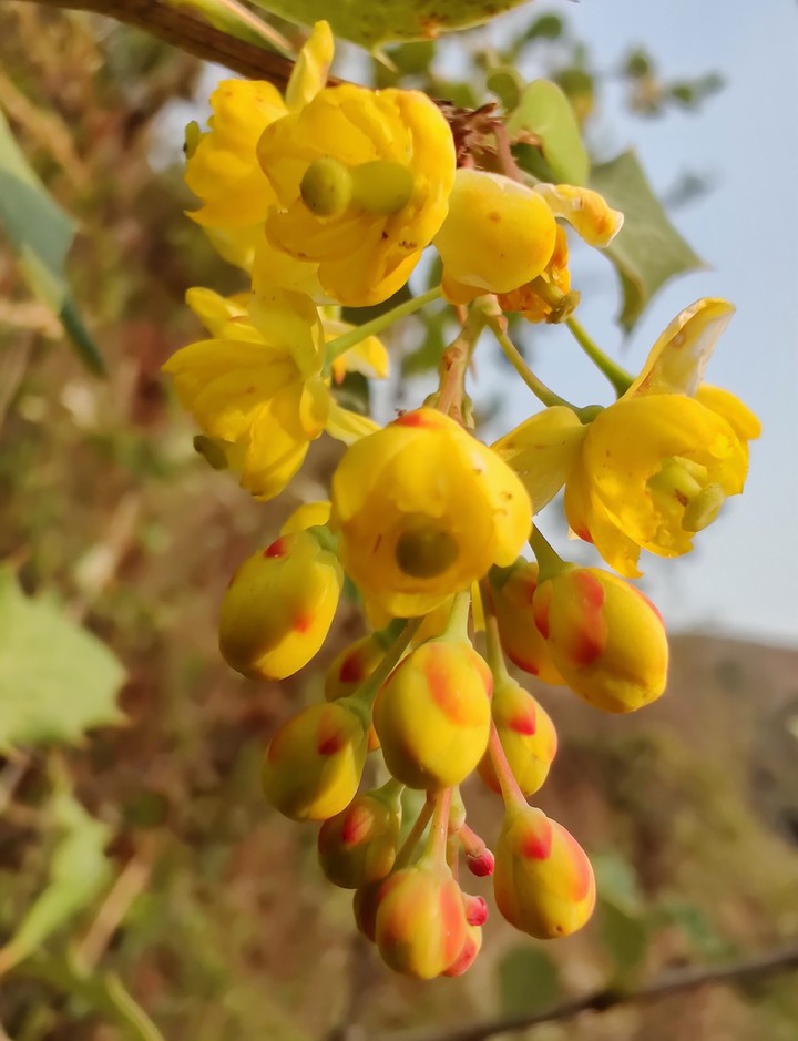 Happiness shared is the flower.