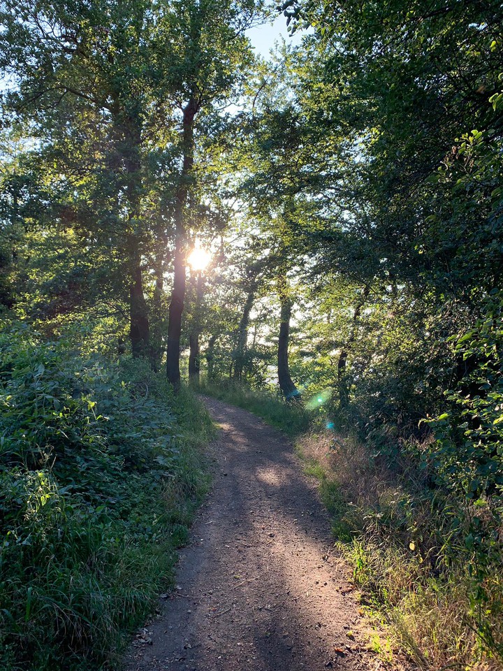 ☀️?
