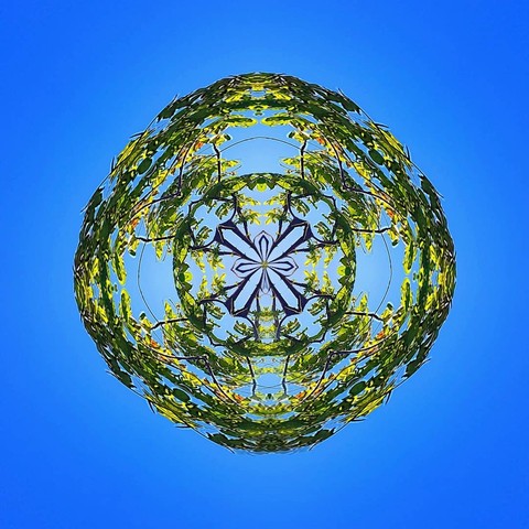 360