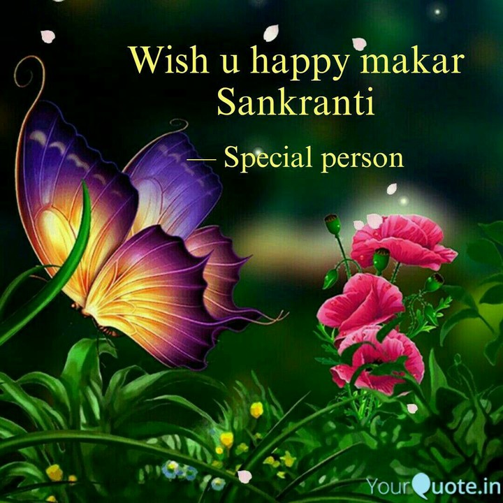 #sankranti