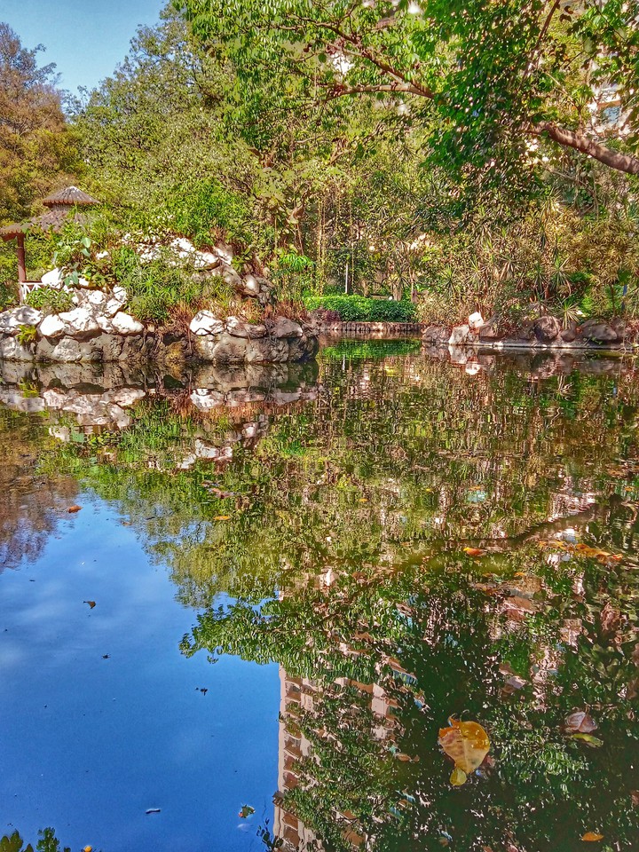 beautiful pond