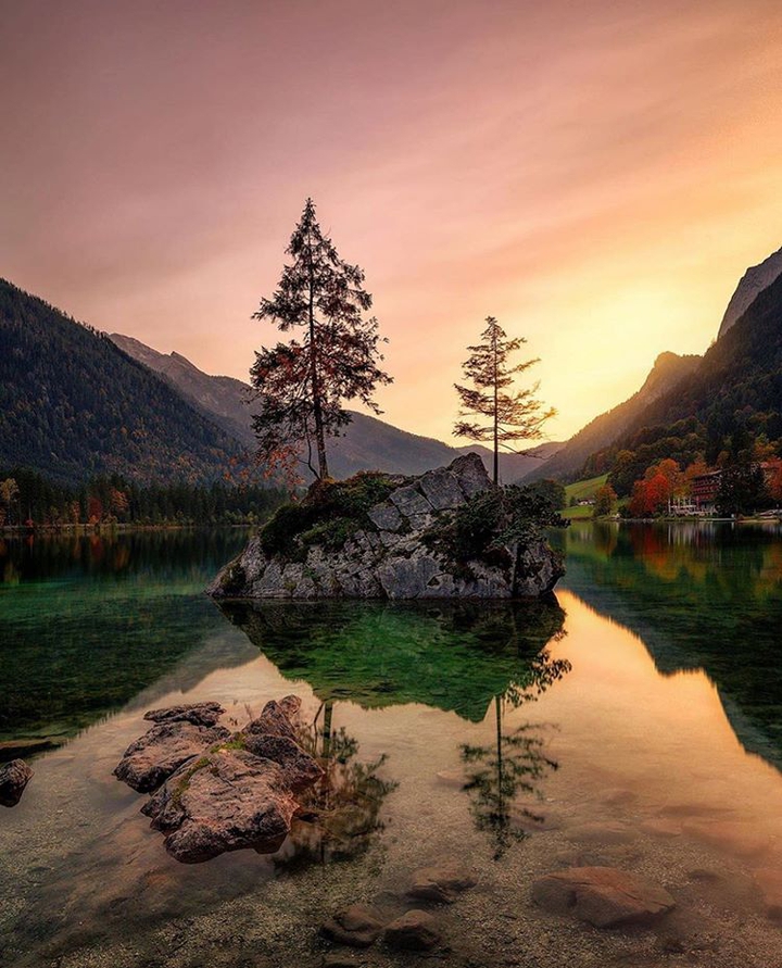 nature