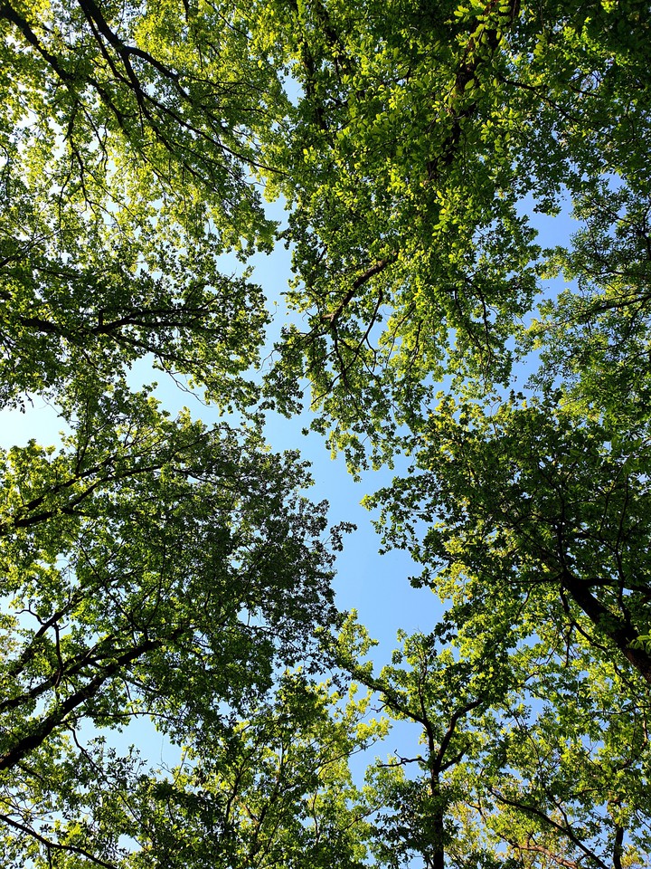 Blue & Green