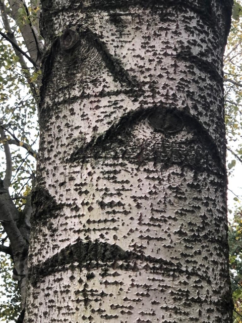 Nature is watching you...