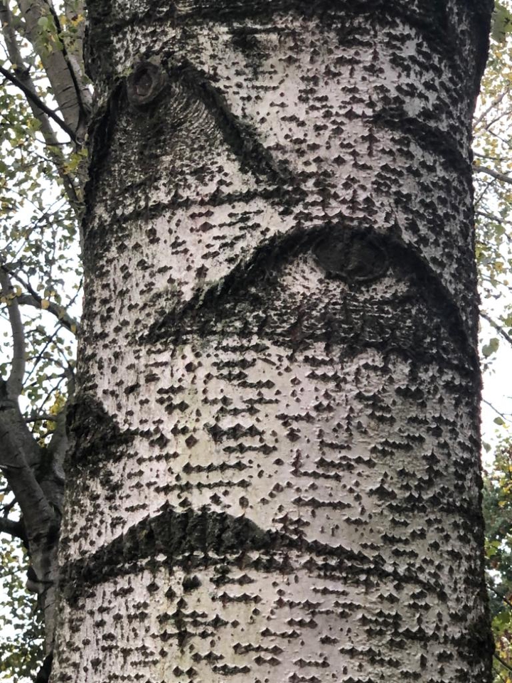Nature is watching you...