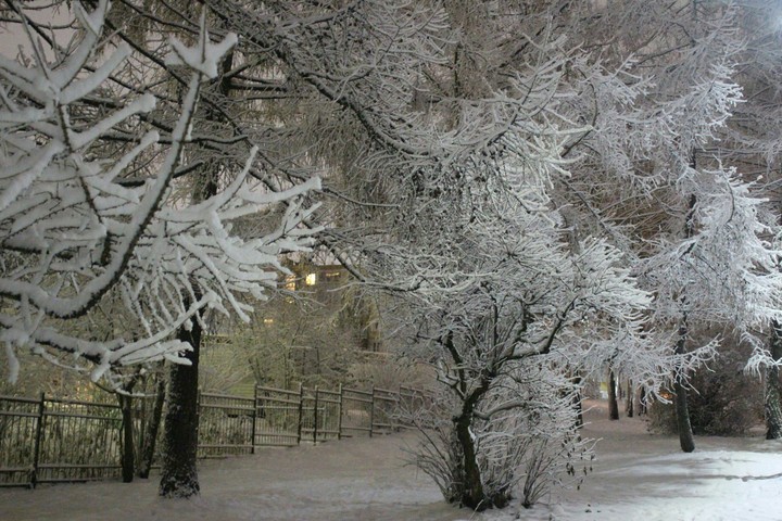 winter