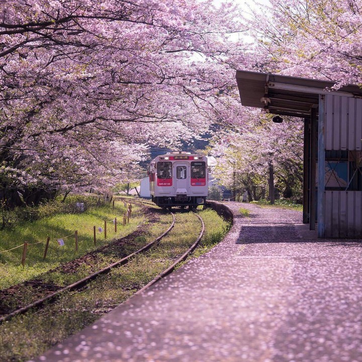 Uranosaki Station, Imari city, Japan