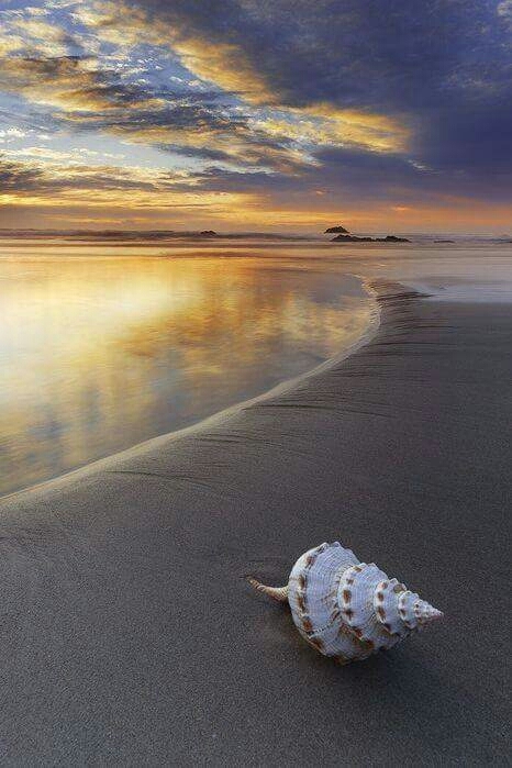 peaceful place