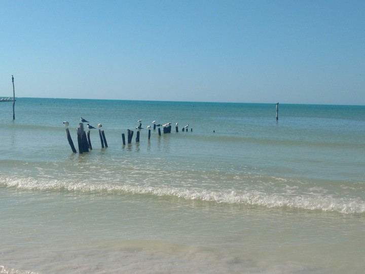 Holbox