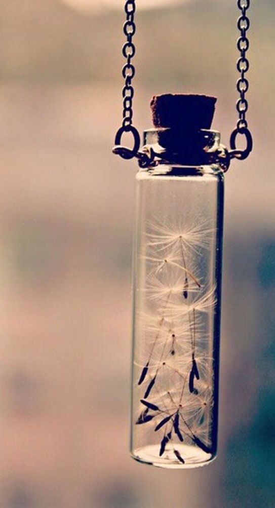 dreams