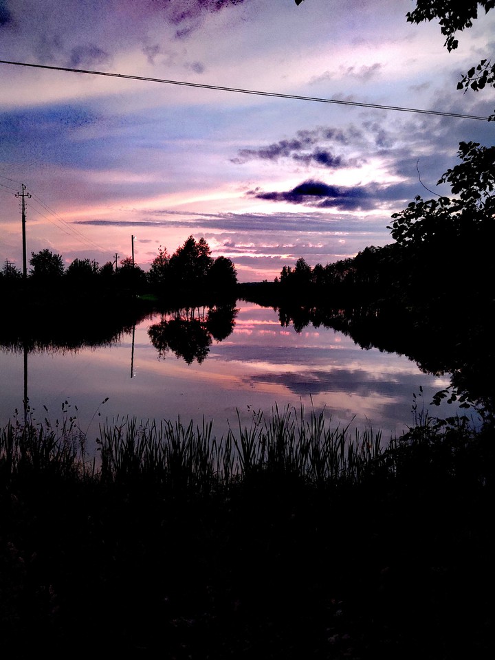 Nature