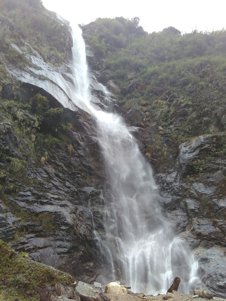 beauty of nature