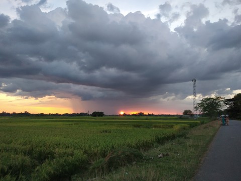 Fire in the sky