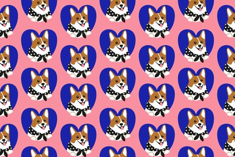 love corgis