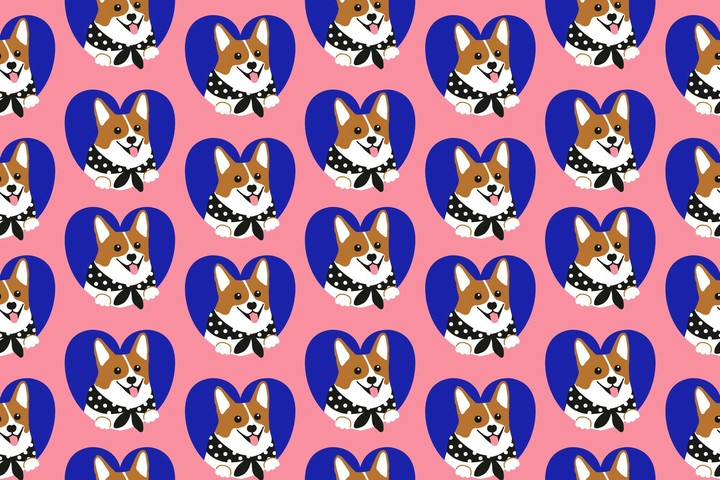 love corgis