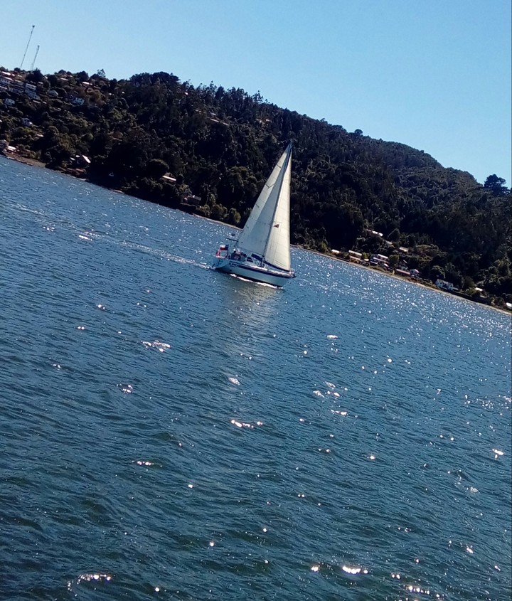 Velero ❤
