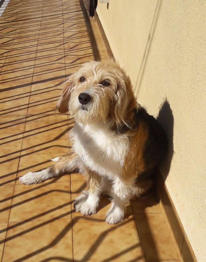 tesoro
