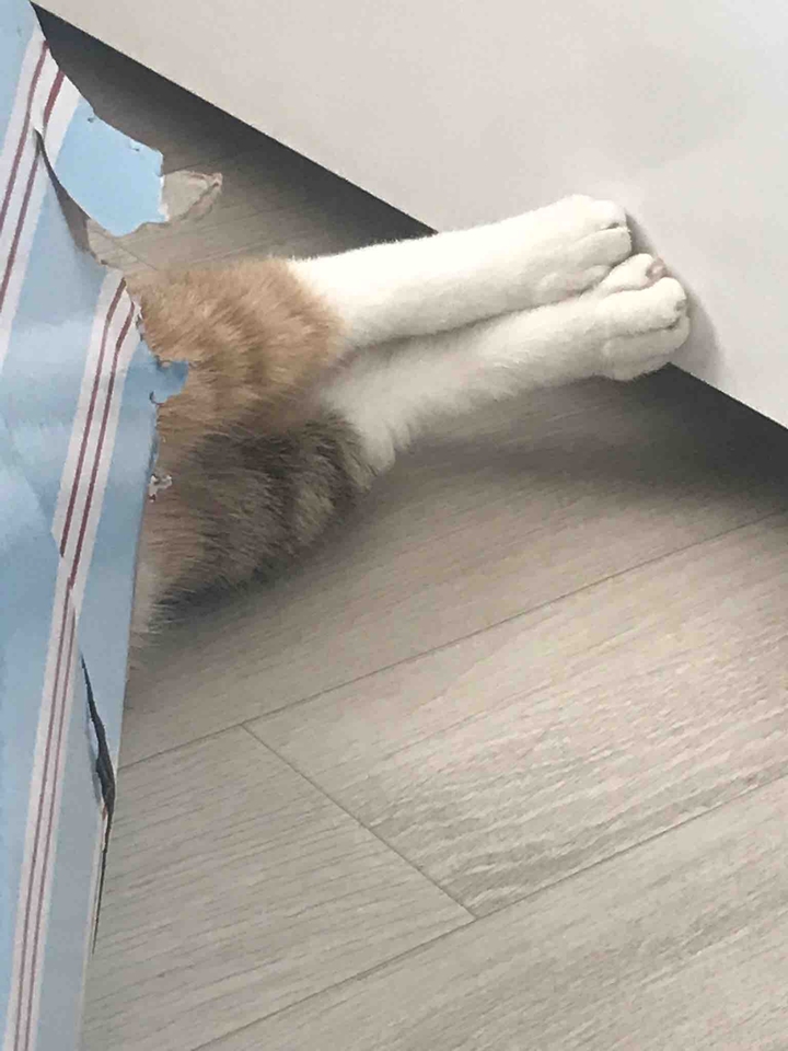 ㅋㅋ