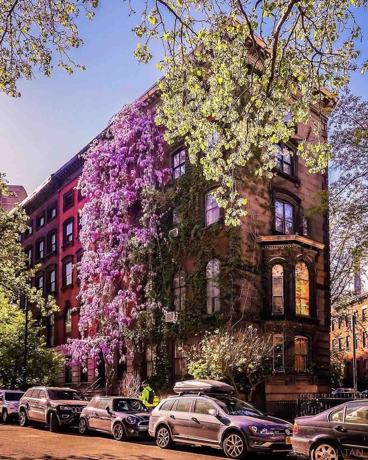 NewYork