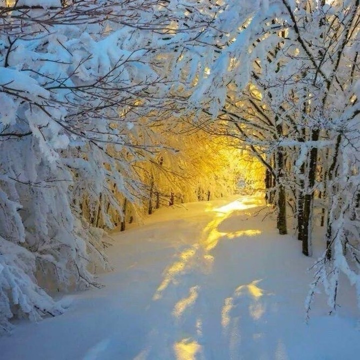 fairy tale