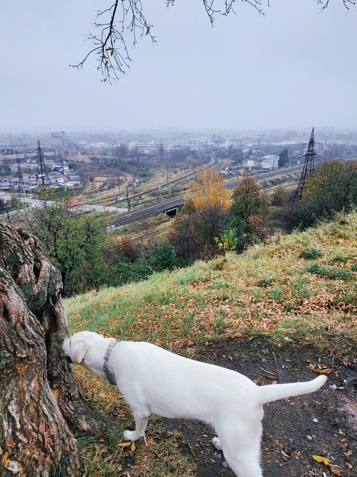 lviv