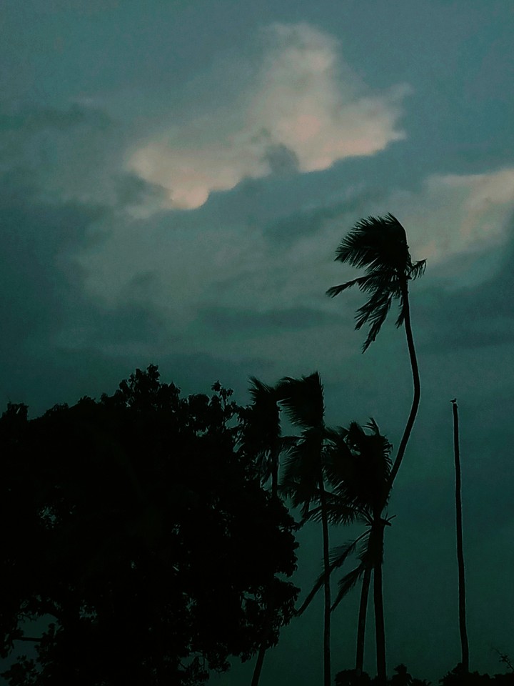 rainy