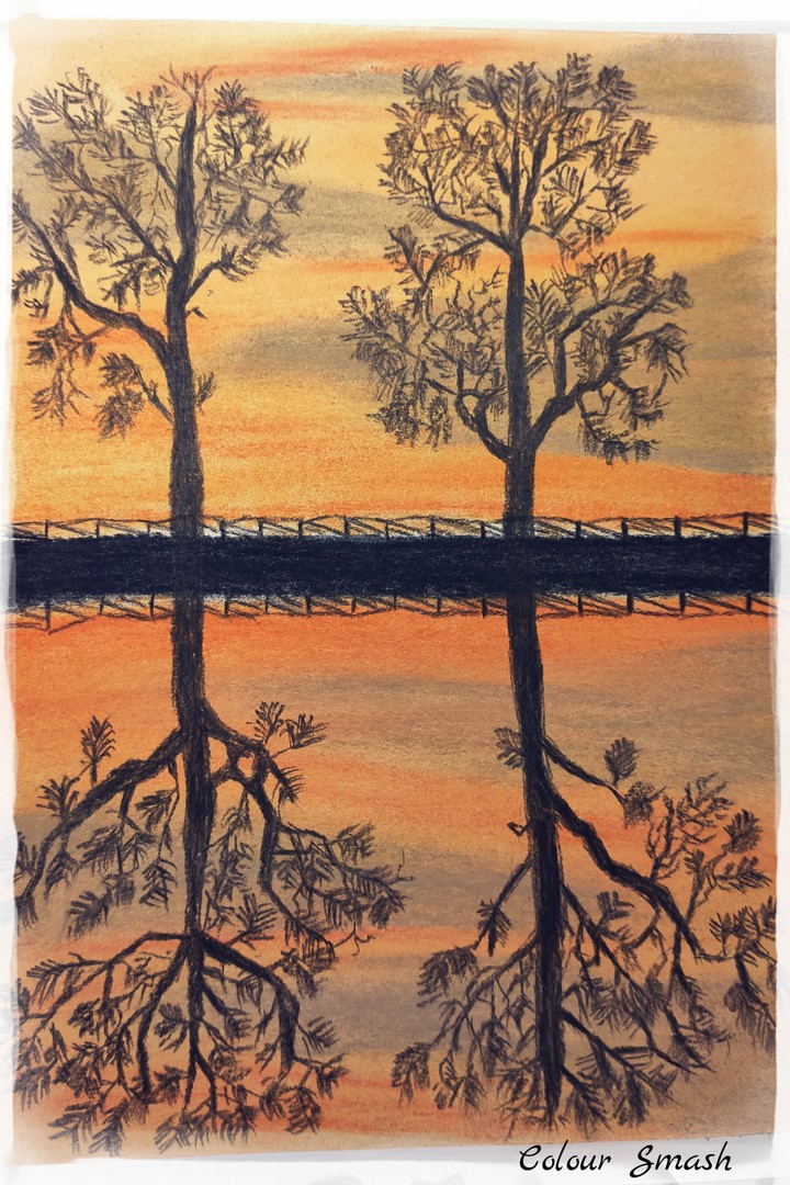Reverse Reflection