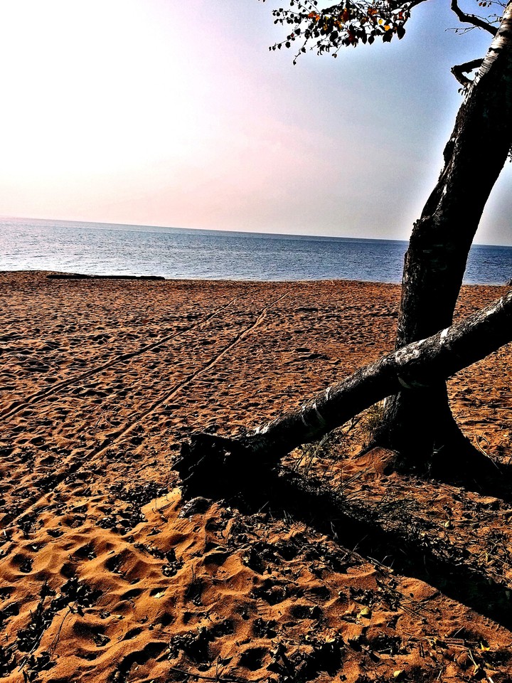 Sea
