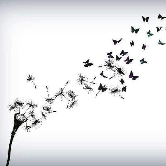 every dream will come true.