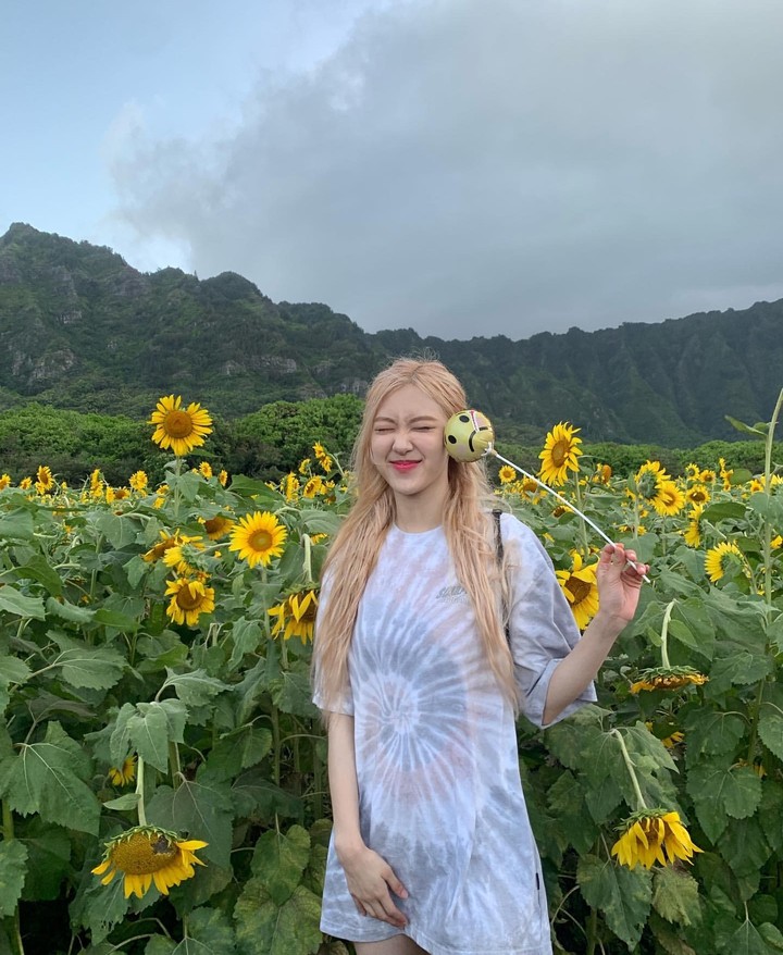 rosé blackpink
