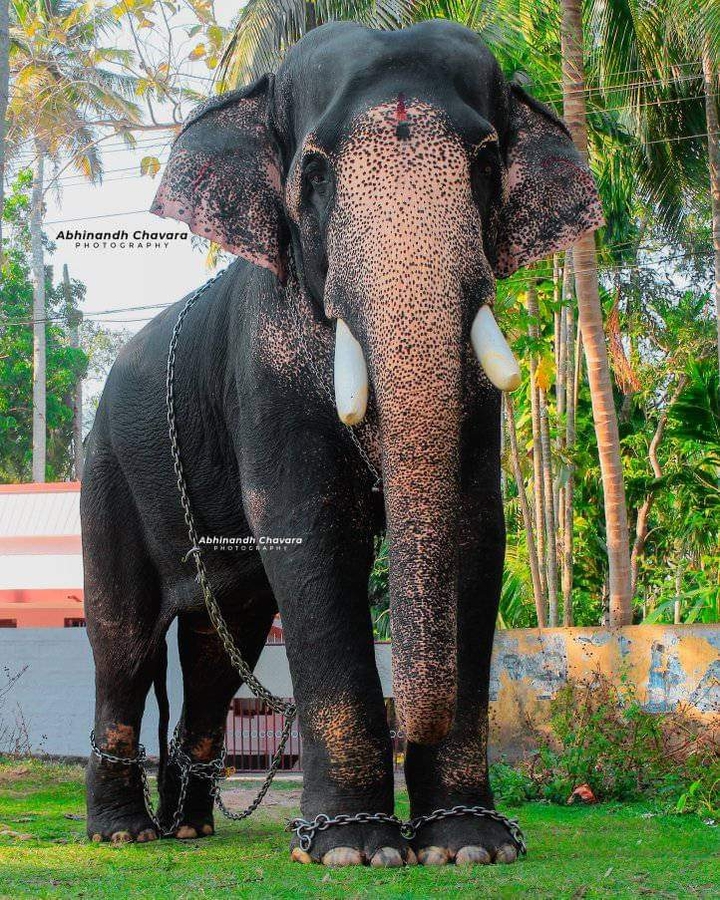 .