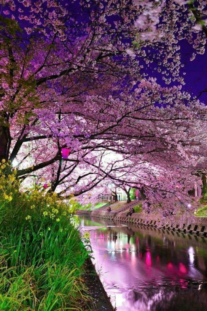 River