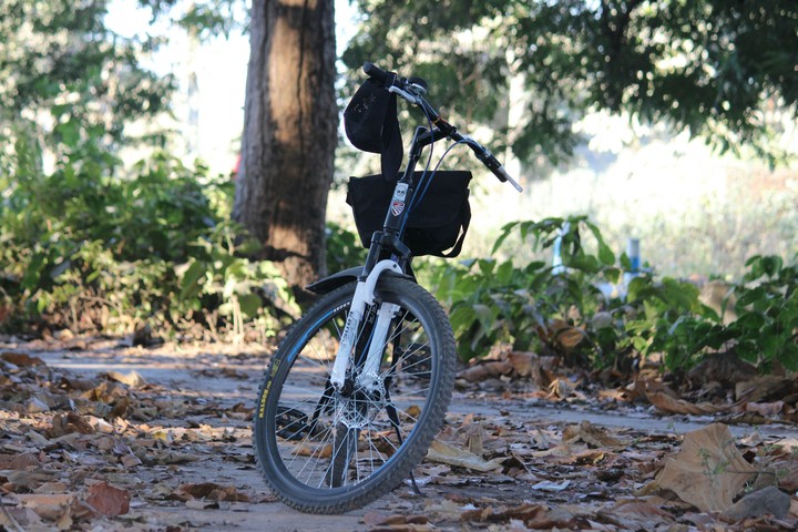 woods and wheels