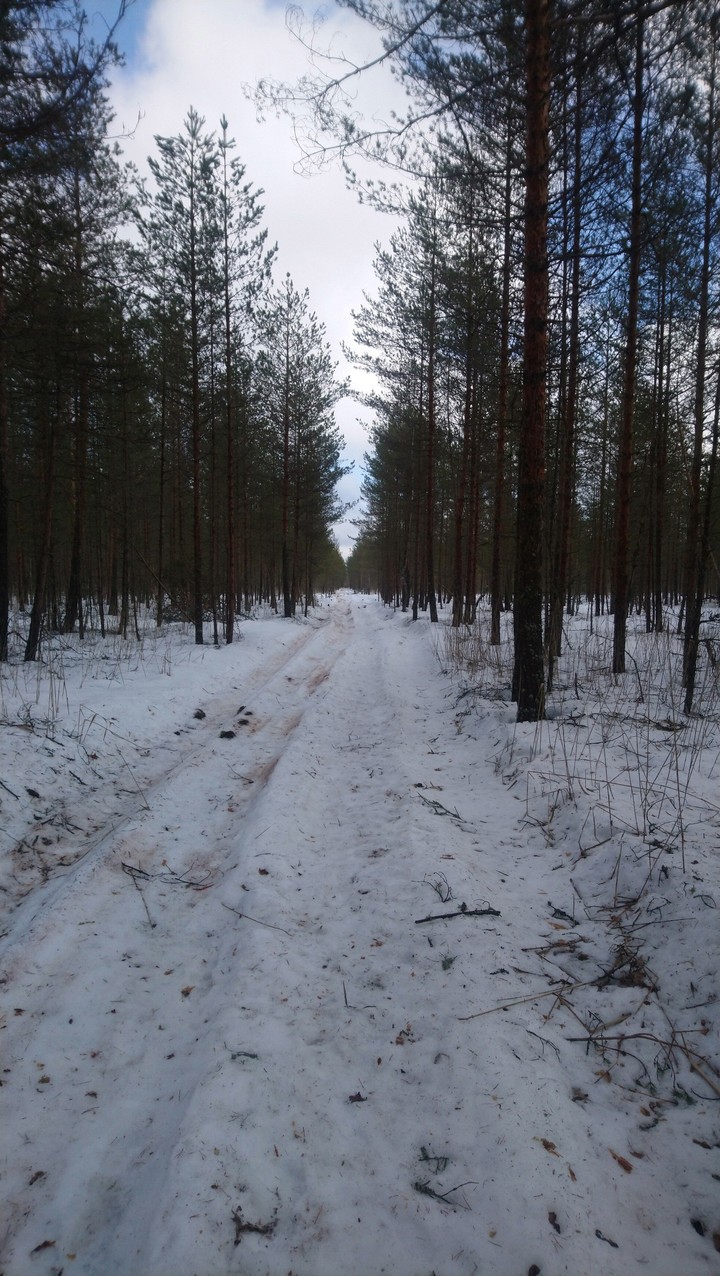 This is March