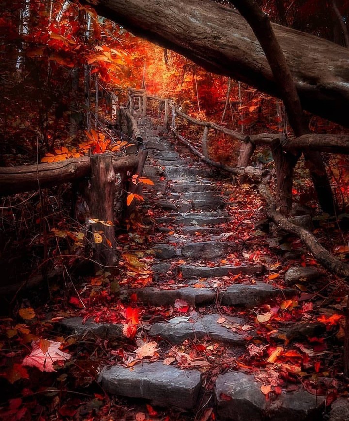 nature