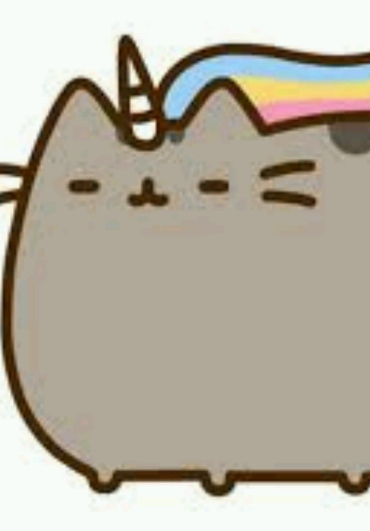 pusheen unicor