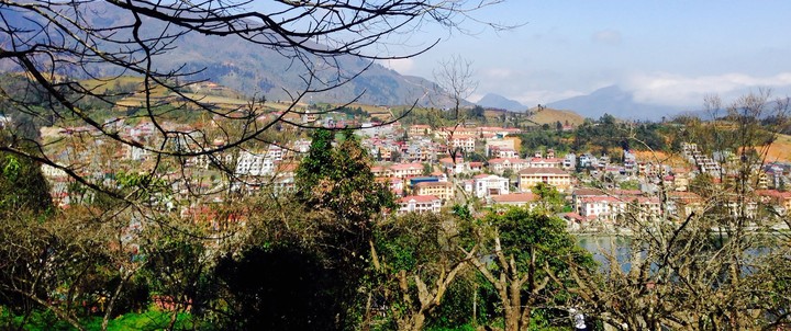Sapa