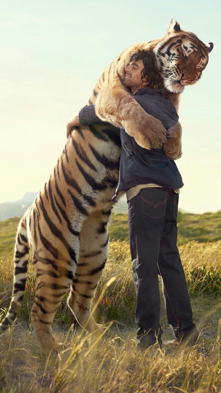 tiger