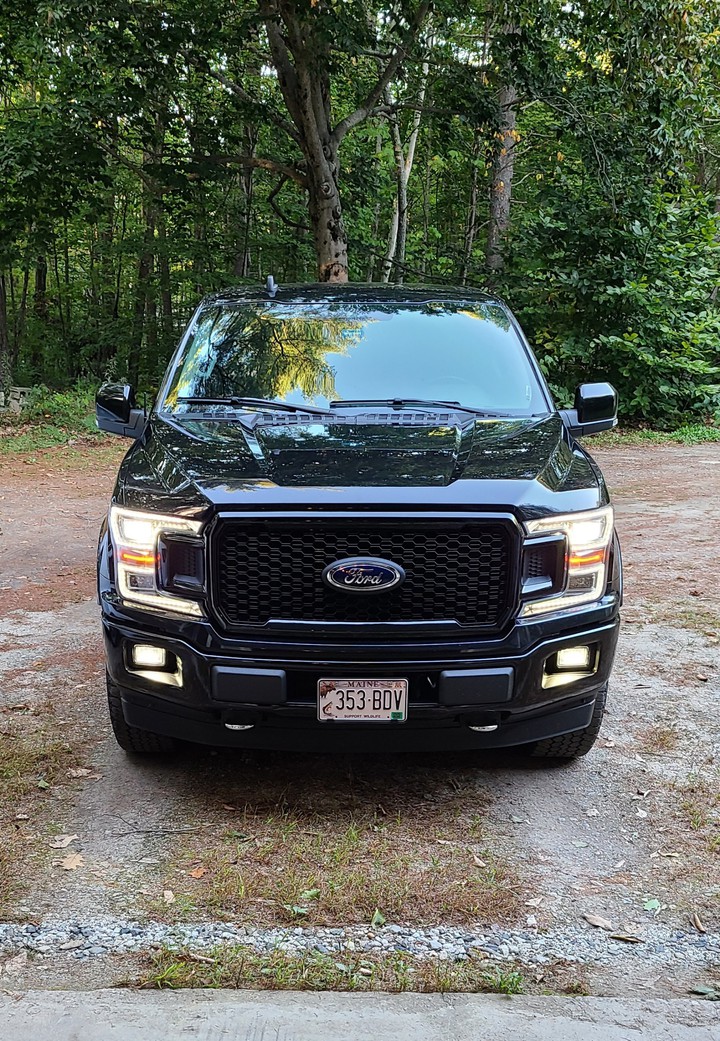 stx grille f150