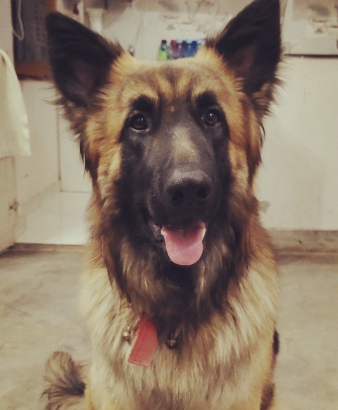 Leo