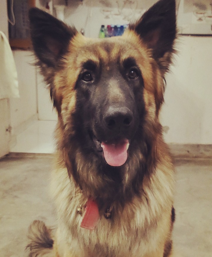 Leo