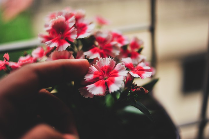 The love touch...