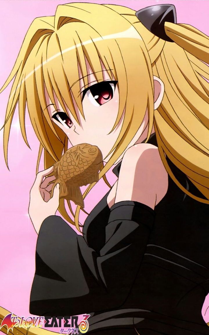 konjiki no yami v2