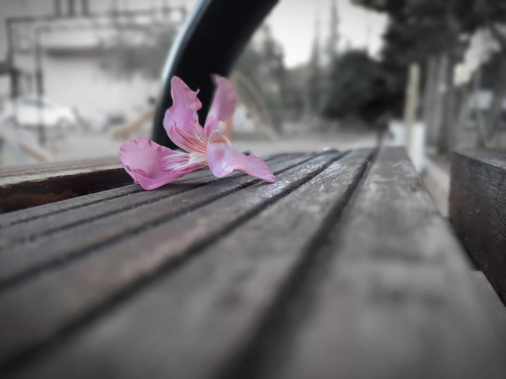 Pink Love