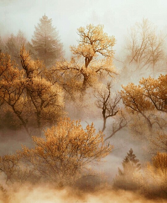 autumn