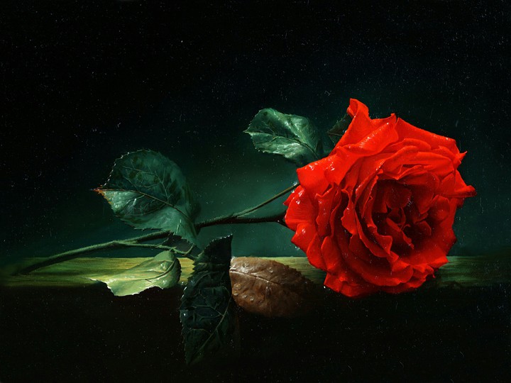 With Love, For You ❤