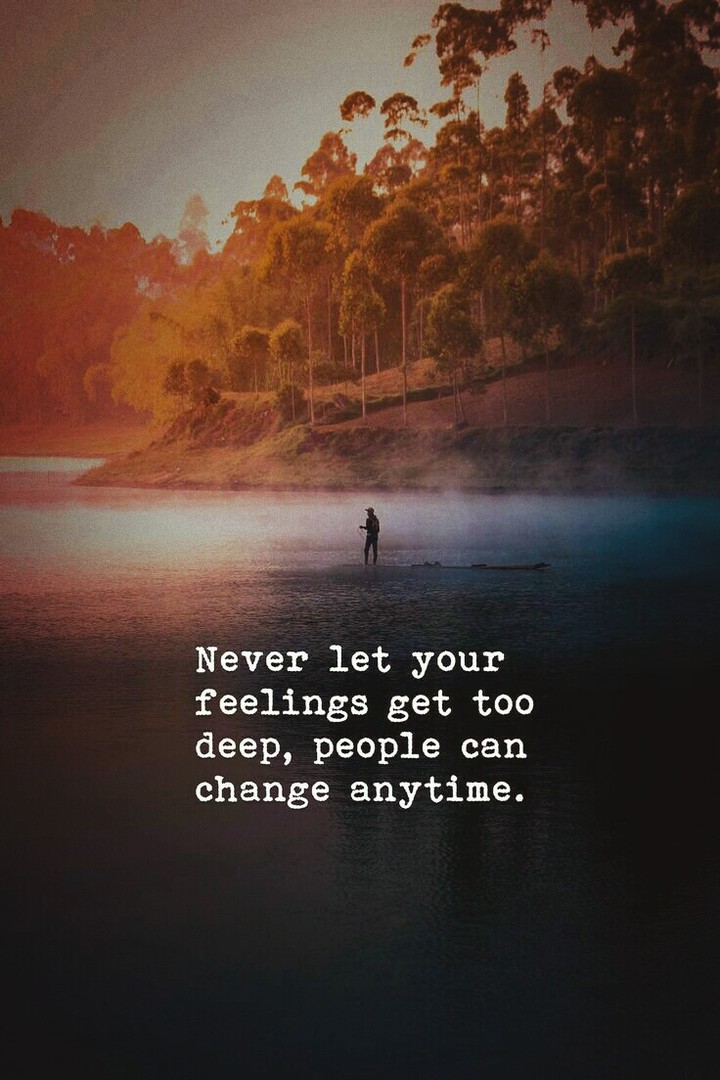 Quotes