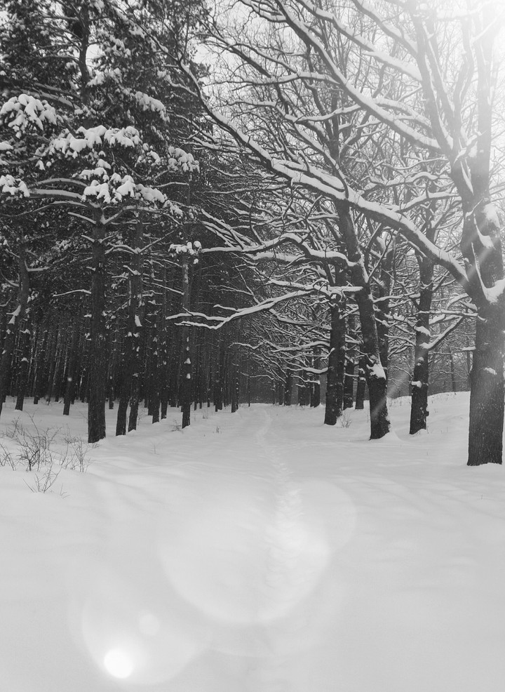 winter