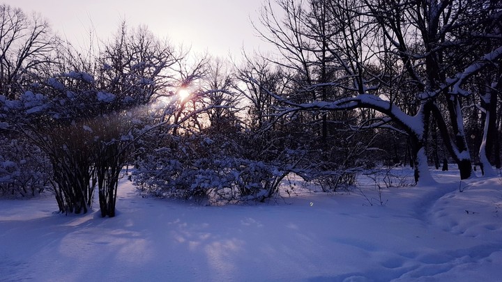 Зима
